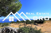Large agricultural land with an olive grove, in a quiet area boasting beautiful views, for sale (3)